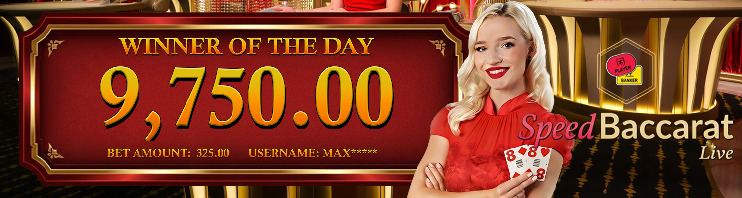 1. TOP DAILY WINNERS