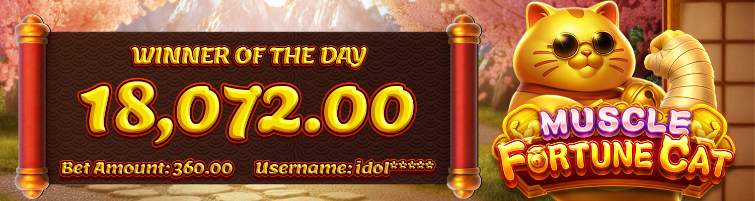 1. TOP DAILY WINNERS