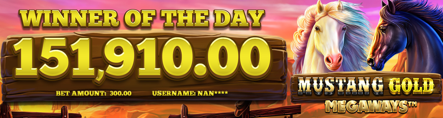 1. TOP DAILY WINNERS